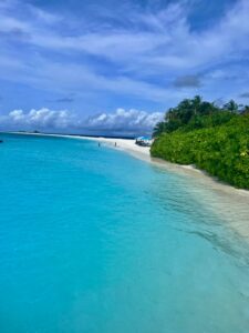 Turquoise waters meet sandy beach with luscious greenery