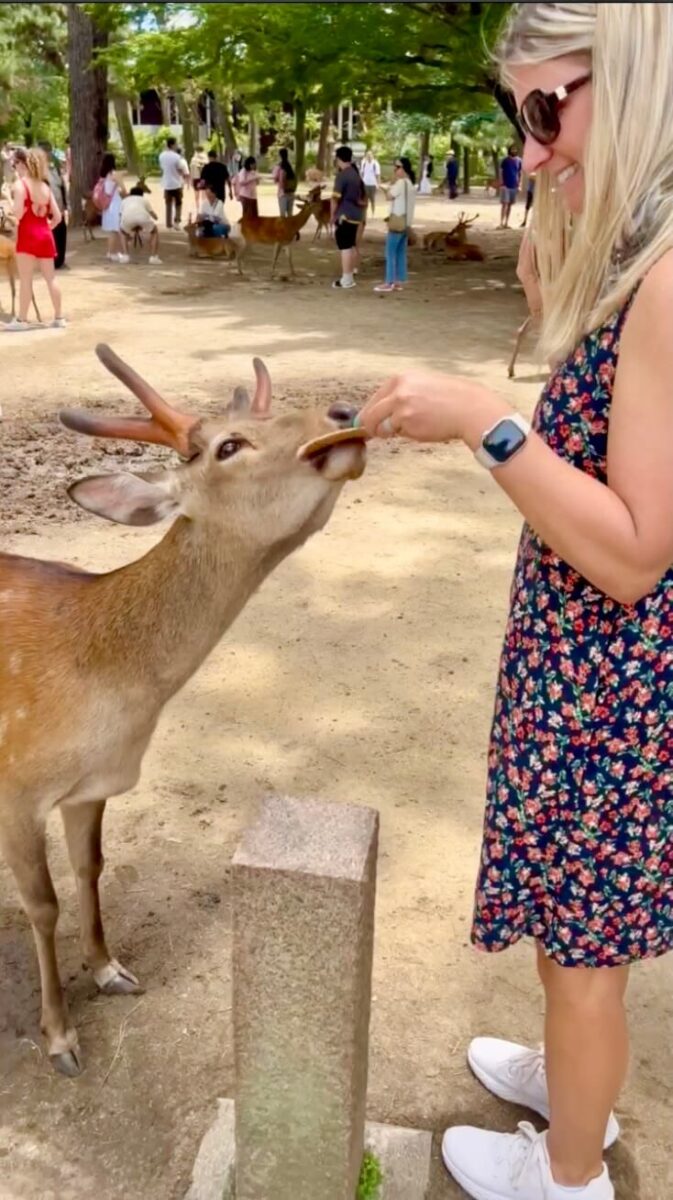 A woman in a floral dress and sunglasses smiles while feeding a deer in a park. Other visitors and deer are visible in the background, with trees surrounding them.