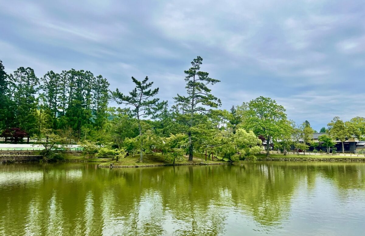 Scenic view of a tranquil lake reflecting tall, lush green pine trees under a cloudy sky. The serene environment conveys a calm, peaceful mood.