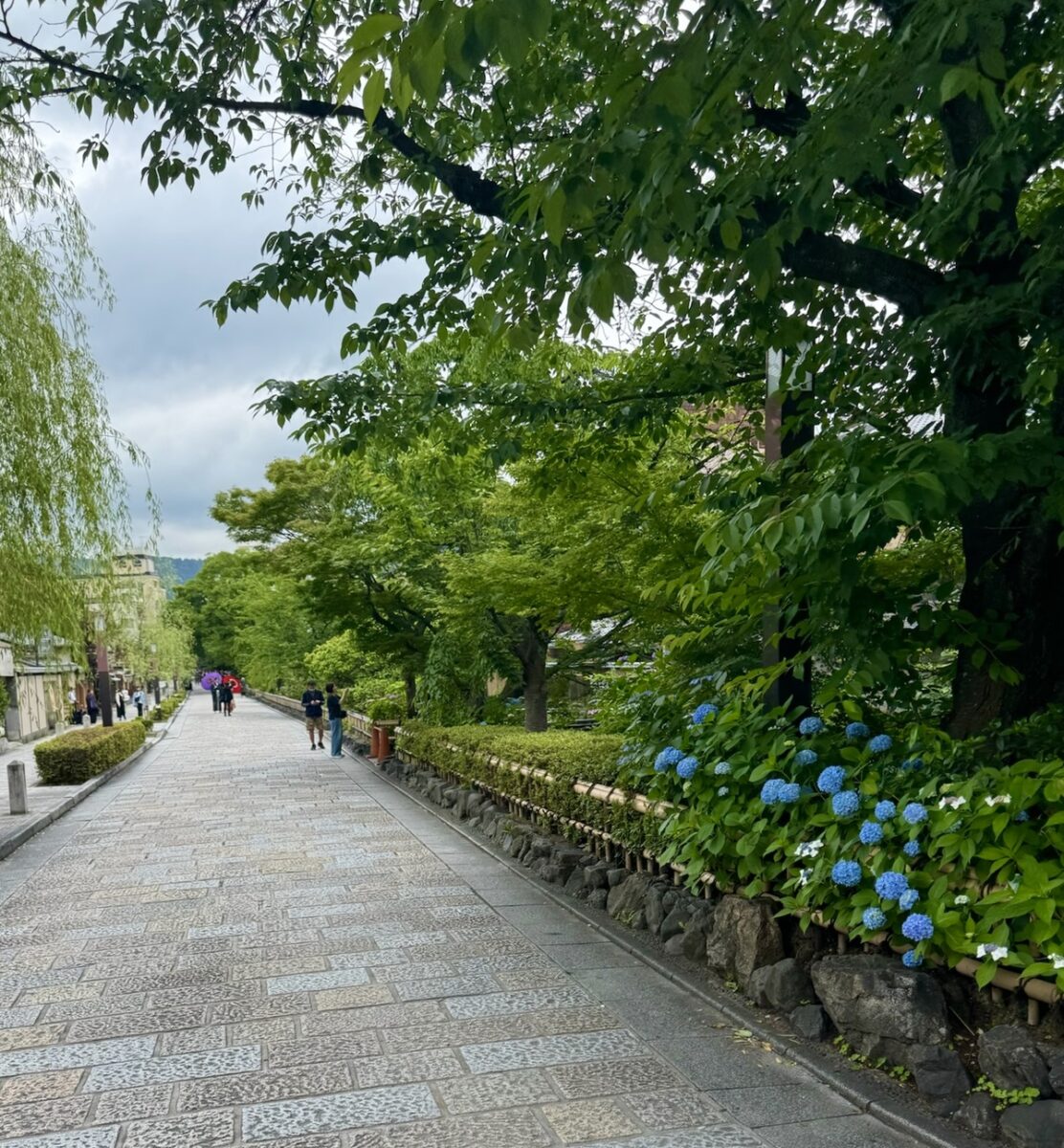 Paved path lined with lush green trees and blue hydrangeas under a cloudy sky. People with umbrellas are walking, creating a serene atmosphere.