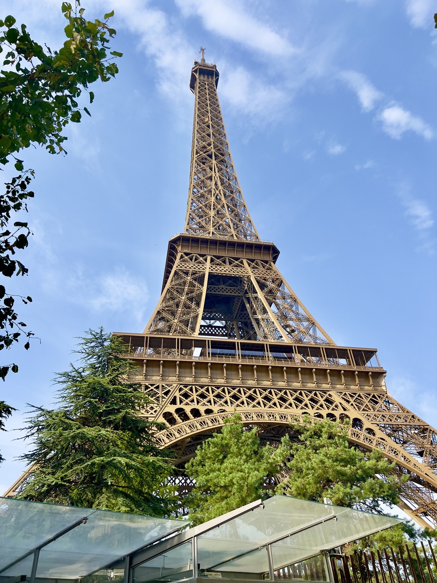 France: Looking up at the Eiffel Tower against a clear blue sky, framed by green trees. The iconic lattice structure conveys grandeur and awe.