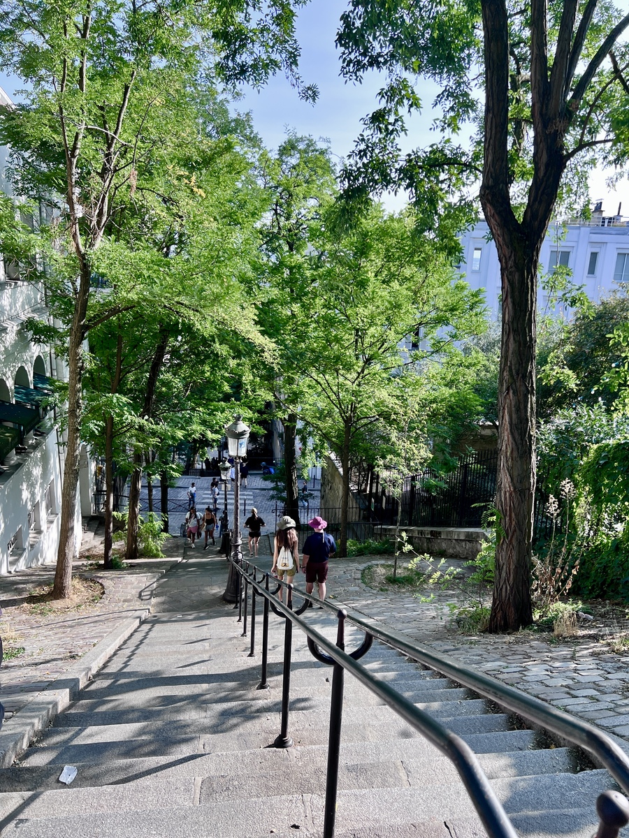 Stone steps lined with trees lead down a hillside. People walk along, some wearing hats. Sunlight filters through leaves, creating a tranquil vibe.