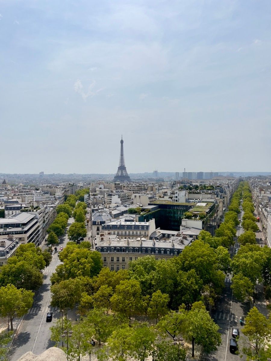 Aerial view of Paris showcasing the Eiffel Tower in the distance. Tree-lined streets and classic architecture create a serene and iconic cityscape under a clear, blue sky.