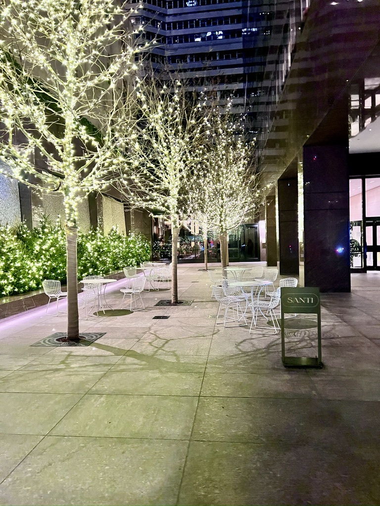 Outdoor dining area with white metal tables and chairs under bare trees adorned with twinkling lights. Nearby hedges are illuminated, creating a festive ambiance.