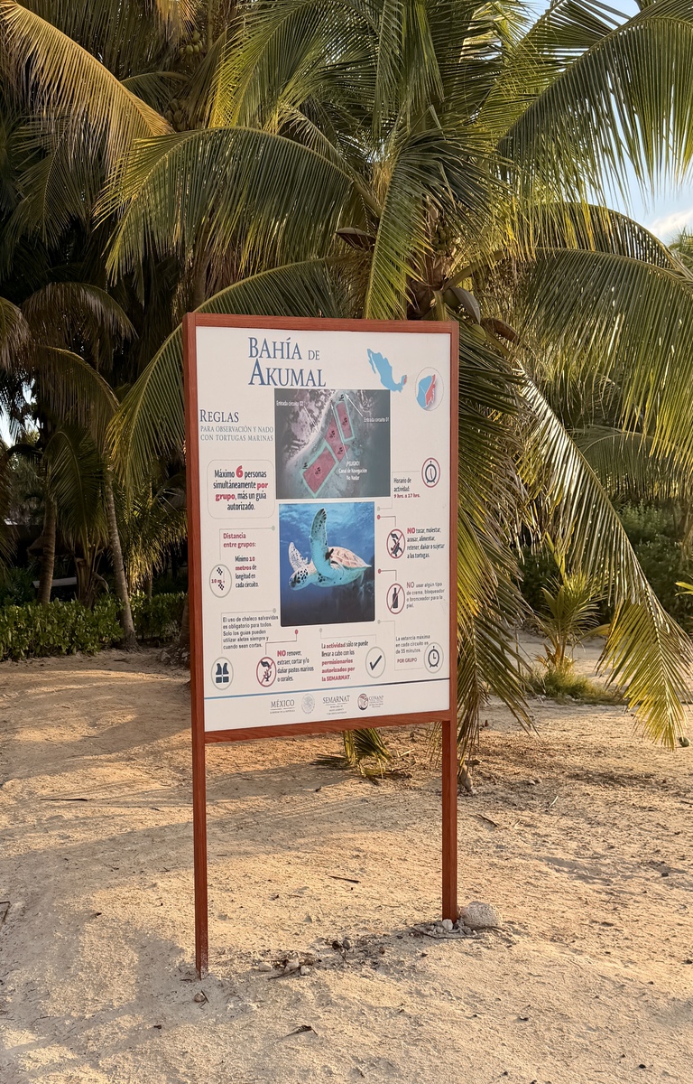 A beach sign at Akumal Bay, displaying rules and wildlife information, stands against a backdrop of lush palm trees under a partly cloudy sky.