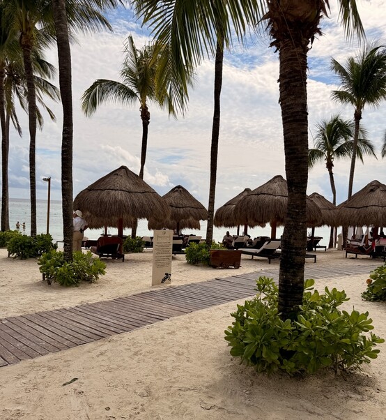 Tropical beach scene with palm trees and thatched umbrellas shading lounge chairs. Wooden walkway leads toward the ocean with a sign that says "Preferred Club." Relaxing, serene atmosphere.