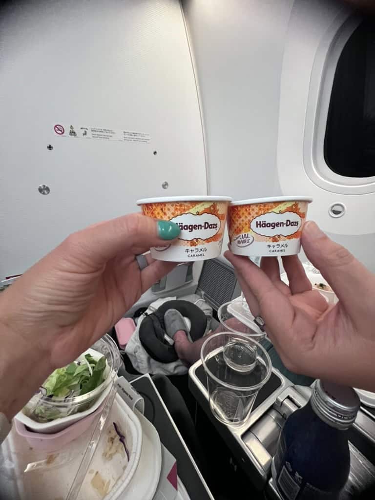 Häagen-Dazs ice cream served in cups during Japan Airlines premium economy flight on Boeing 787-9.
