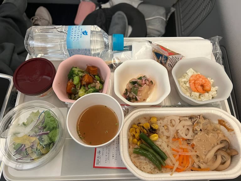 Premium Economy meal on Japan Airlines Boeing 787-9 aircraft.